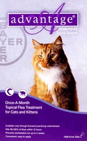 Advantage_cats