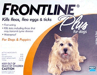Frontline_dogs