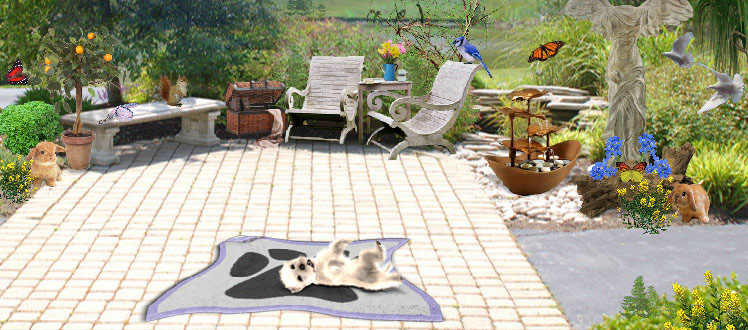 Backyard Scene