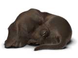 Pclm_s1_sleeping_160x120